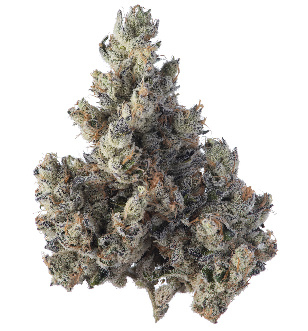 SENSE_PinkCertz_DryFlower_4